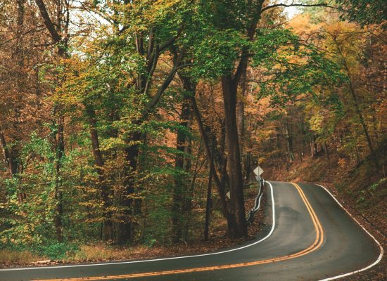 Explore a serene curvy road winding through autumn woods, rich with vibrant fall colors and foliage.